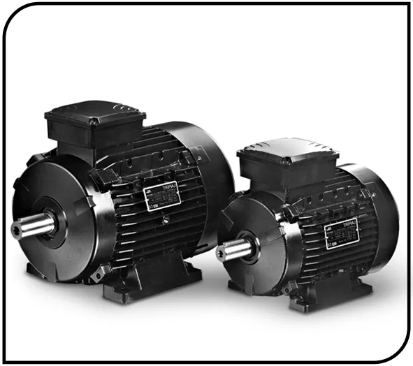 lafert motor