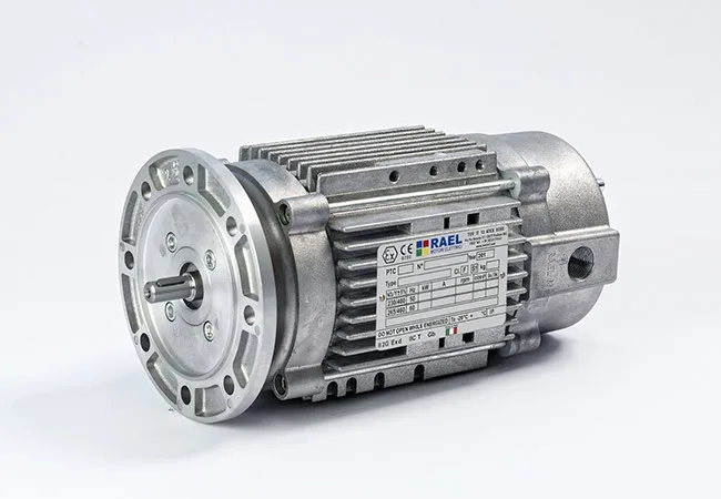 RAEL Tube explosion-proof motor for axial fans